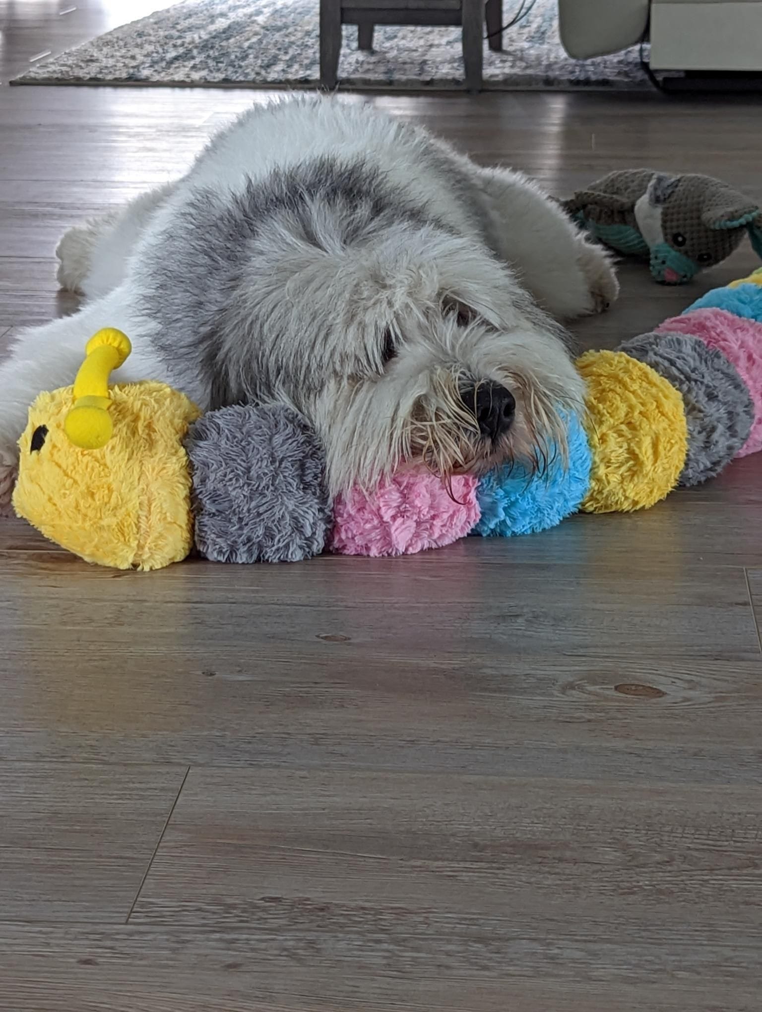 Toys make good pillows!