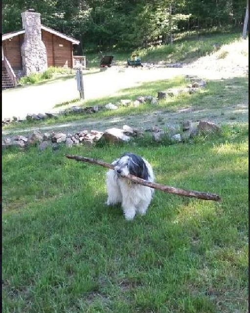 Such a big stick