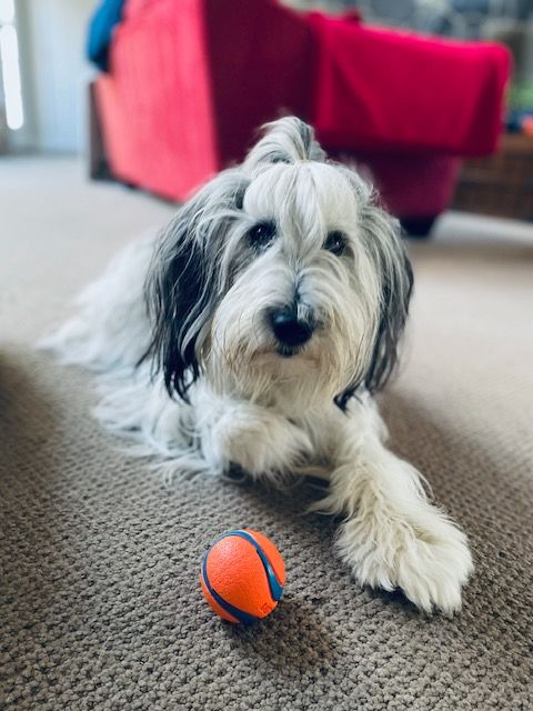 It' my  ball.